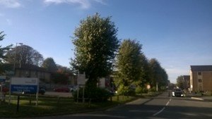 WP_20180917_003 Access Road at St Johns Close, Peterborough, UK